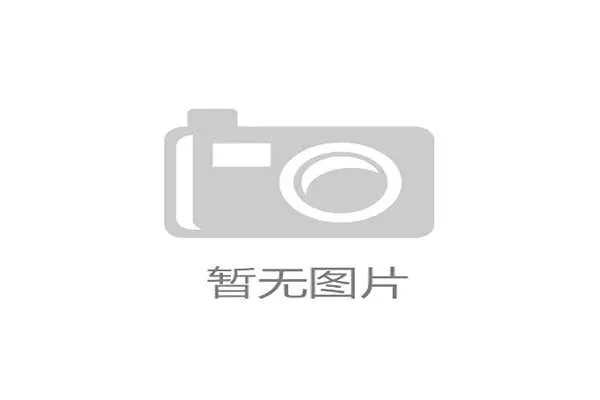 动态定价策略应用 提升资源变现效率