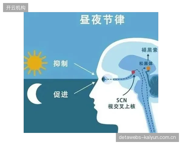 海地后勤团队将聘请睡眠顾问，通过调节光照与褪黑素干预，最小化跨时区飞行对球员竞技状态的影响。